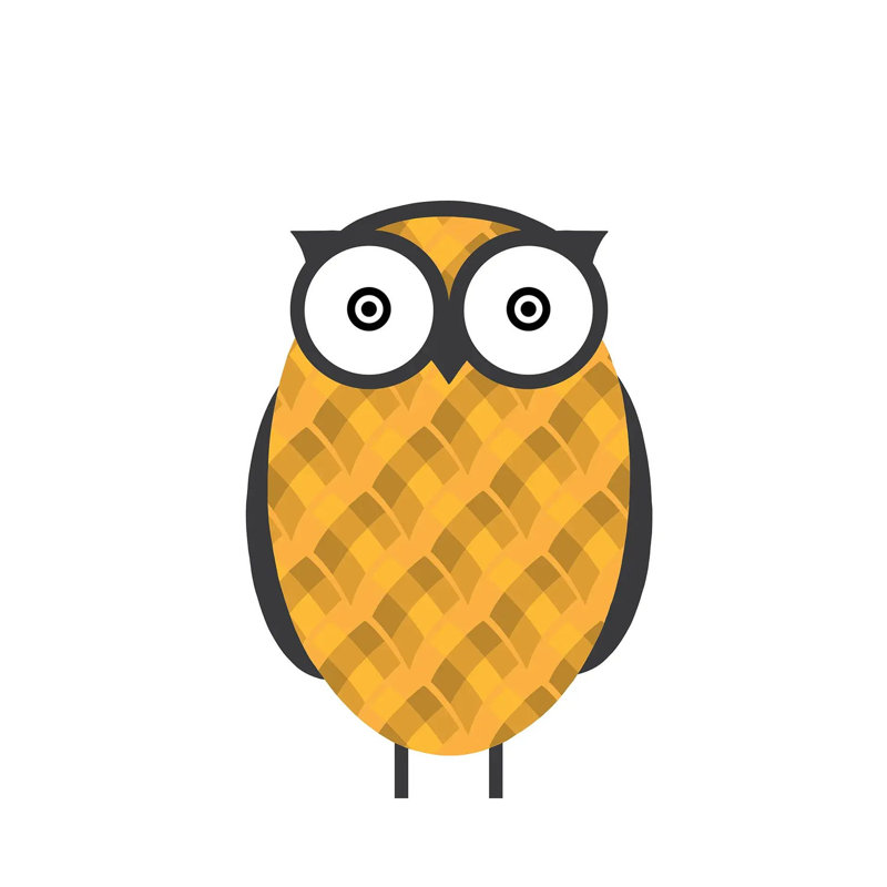 Owl Orange by 5by5collective - Wrapped Canvas Print, 45.72 cm H x 45.72 cm W