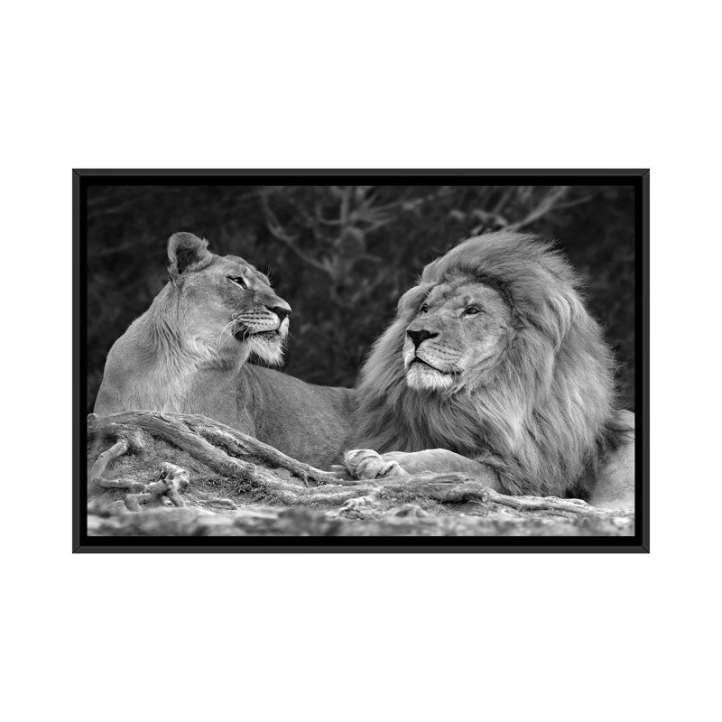 " Love " by Xavier Ortega, 18" H x 26" W x 1.5" D, Black Framed Canvas, No Mat