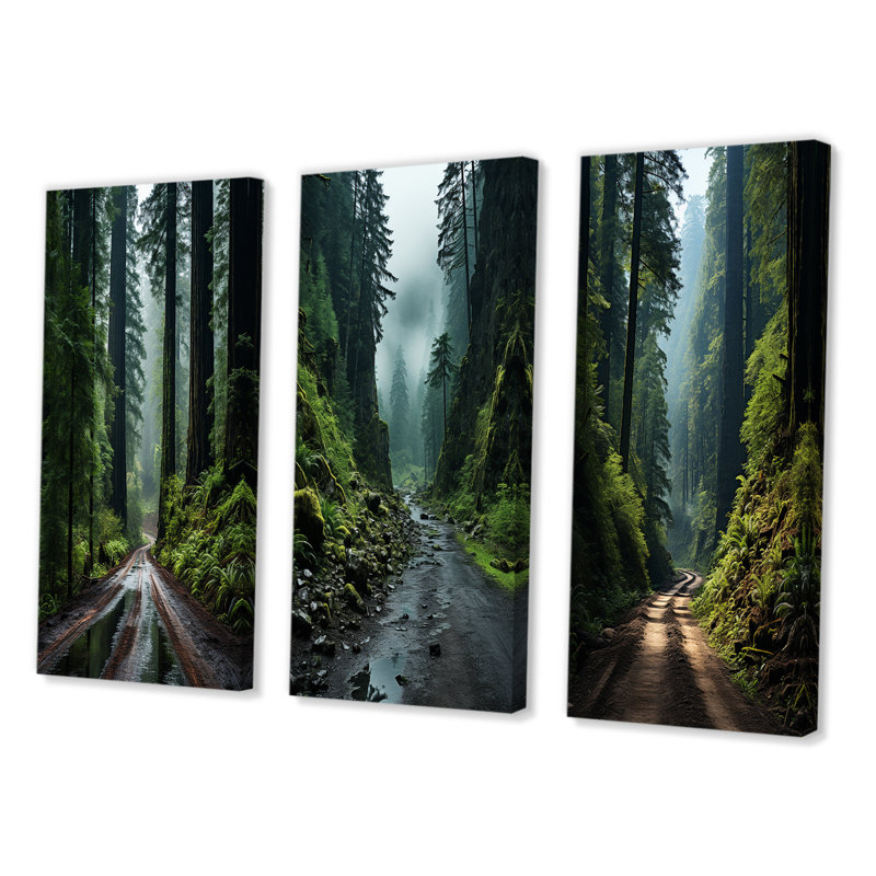 États-Unis, Redwood National and State Park - Ensemble 3 pièces, Toile tendue, H 20 po x l 36 po
