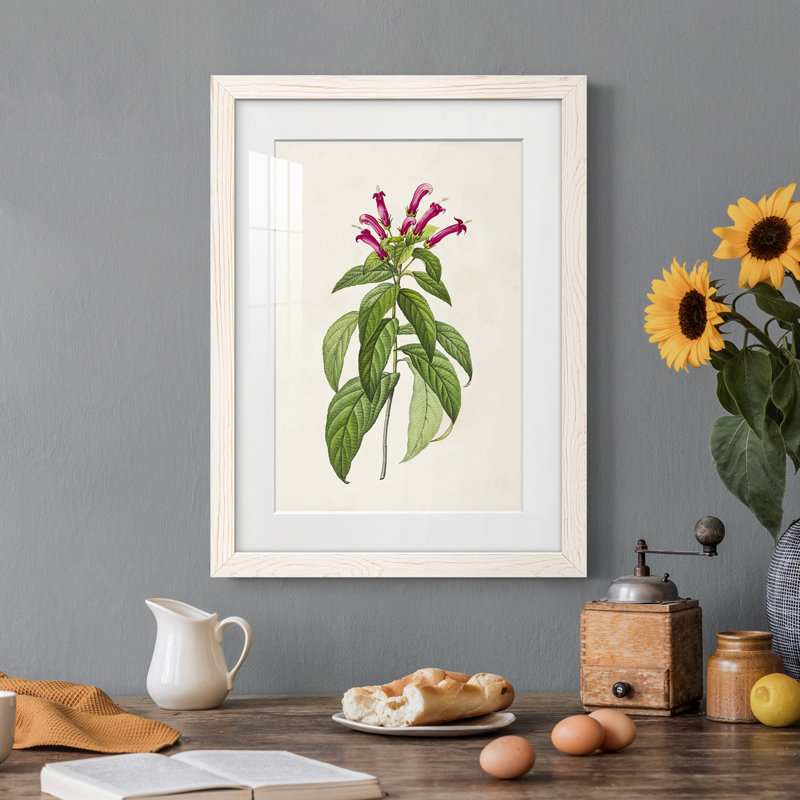 Joli cadre botanique de qualité supérieure rose prêt à accrocher de Botanicals, Cadre blanc, H 24 po x l 20 po x P 1 po