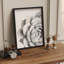 Noir et blanc, plante grasse, tranquillité, Illustration de la nature, petite œuvre d'art-101376586-101376590