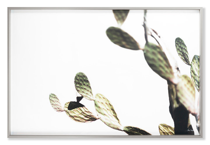 Az Botanical 38 Print by Chris Dunker, 29" H x 43" W