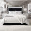Velvet Ottoman Bed With LED Headboard, Glam Upholstered Storage Frame With Crystal Tufting, Black & Beige-510076272-509580884
