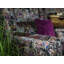 Cooney Velvet Armchair