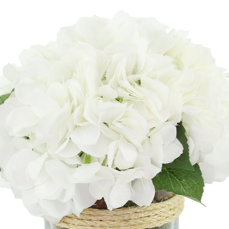Arrangement floral Sarina Hydrangea dans un vase en verre avec mousse, Blanc