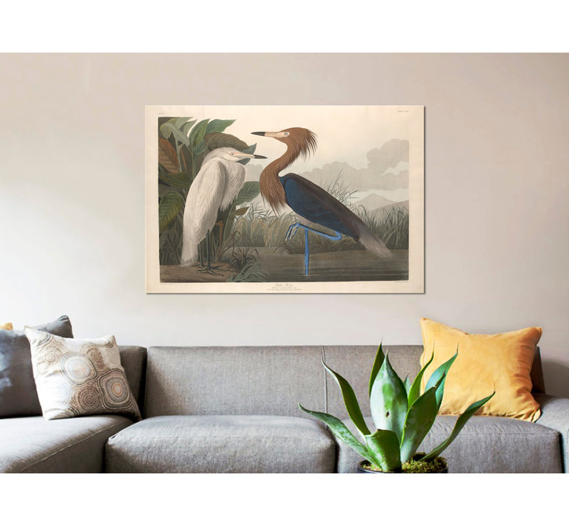 « héron », impression sur toile, H 8 po x l 12 po x P 0,75 po, Pas de tapis, Toile tendue