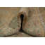 Tapis turc Oushak 3x4