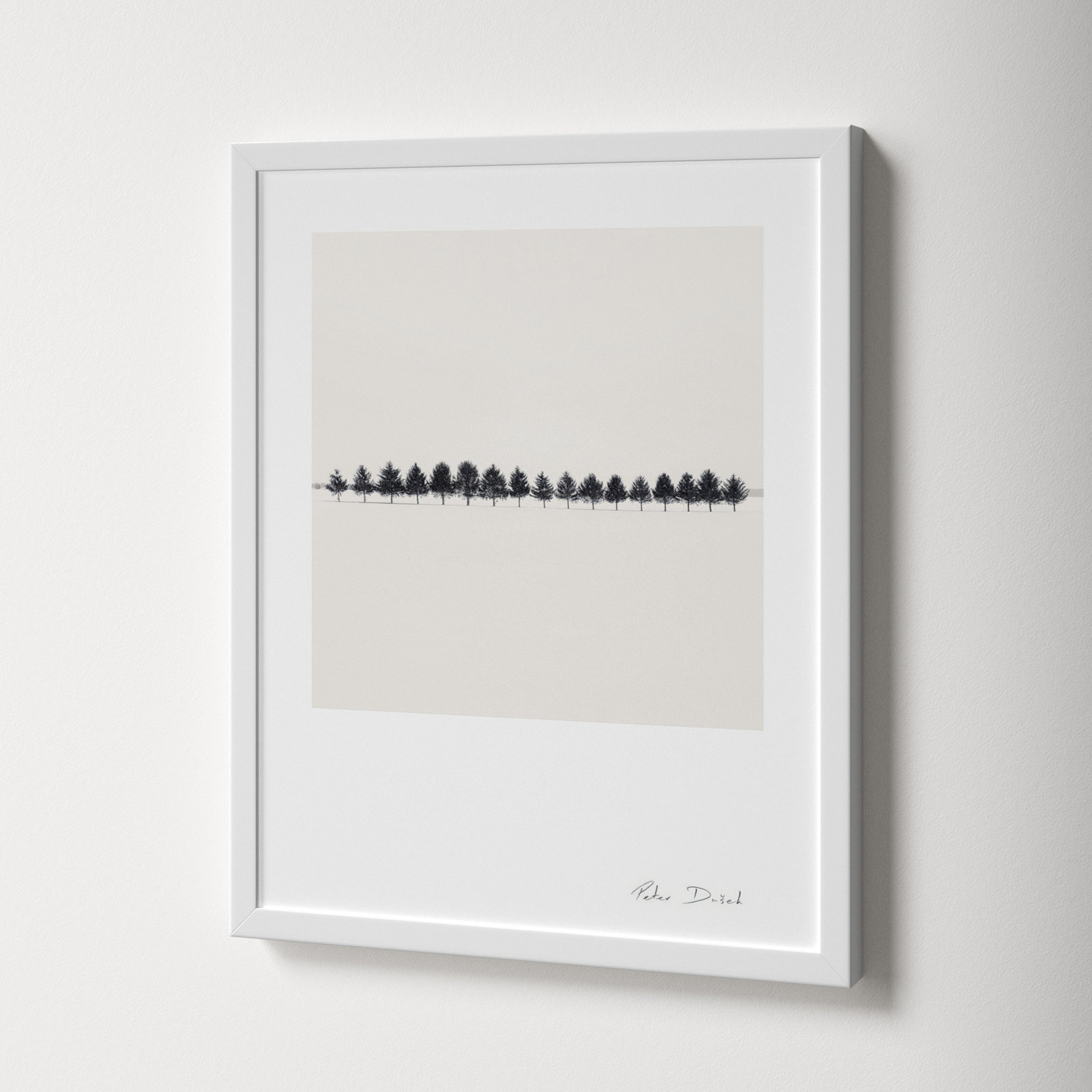 Seventeen Trees by Peter Dušek, 20" H x 16" W x 1.25" D, White