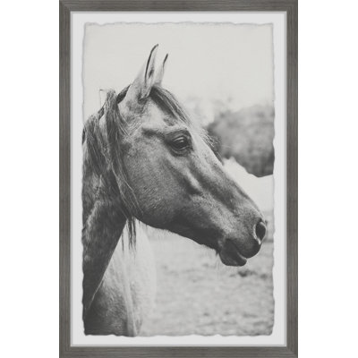 Ann Barnes - Single Picture Frame Print