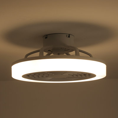 Ceiling Fan with LED Lights