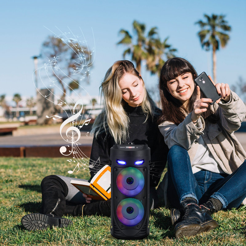 Haut-parleurs portatifs Bluetooth pour haut-parleurs de fête avec caisson de basses à DEL pour camping en plein air