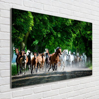 Horses In A Gallop - No Frame Print on Glass