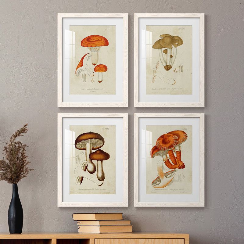 Champignon Variétés, H 20 po x l 68 po x P 1,5 po, Cadre blanc