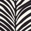 Zebra Palm Fabric-31247115