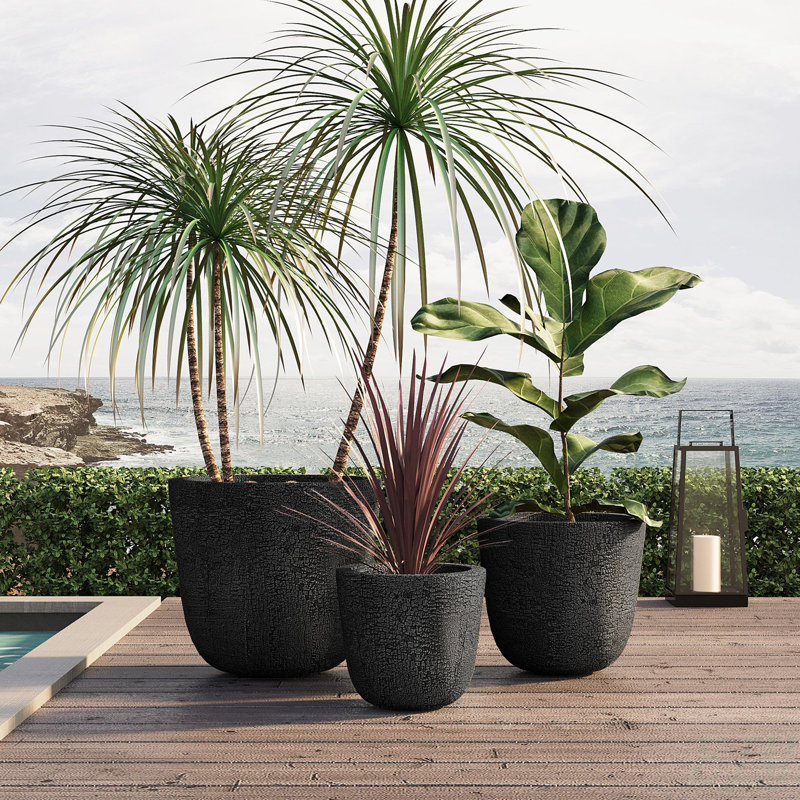Ensemble de jardinières d'extérieur Verdance craquelé rustique MGO avec excellent drainage, Noir