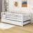 Alene Daybed with Trundle-59747870-59747867