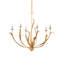 Menefee 6 - Light Chandelier