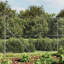 Brealynn Metal Fencing-1044365319-1044365815