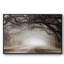 Timeless Plantation Drive, reproduction d'art sur toile-94360552-94360551