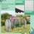 3.95' W x 1.79' D Mini Greenhouse