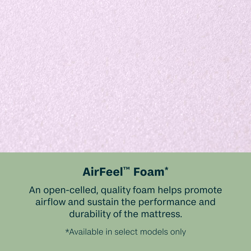 Slumberscape 14.25" Medium Pillow Top Mattress Set with Standard Profile 9" Foundation, Queen