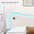 Amelia LED Floating Velvet Upholstered Bed With Curved Headboard – Built-In Charging Station, Height-Adjustable & Music-Sync Lights-1726243986-1723791427