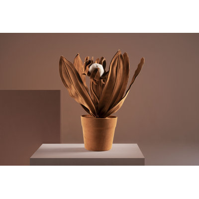 Protea Medium Terracota
