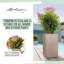 Plant Substrate-55087959