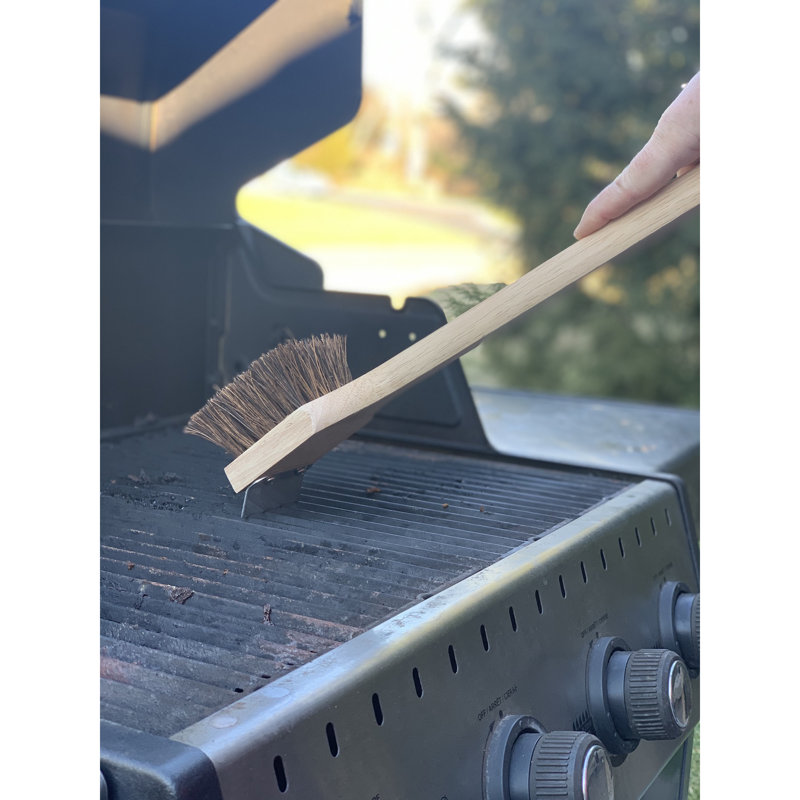Brosse à poils Palmyra