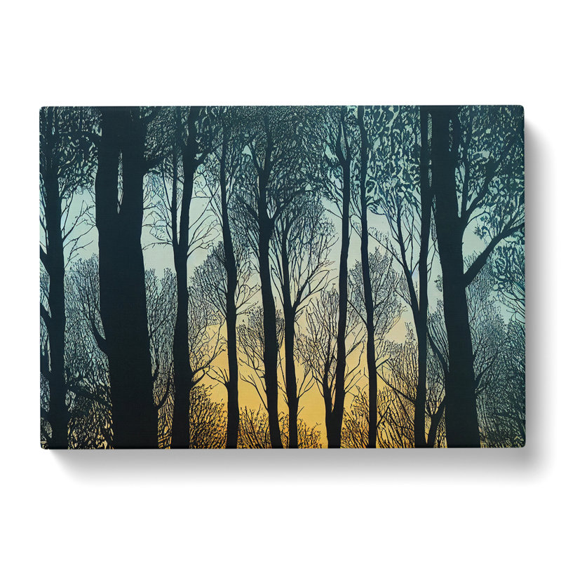 Eccentric Forest - Wrapped Canvas, 35cm H x 50cm W x 3cm D