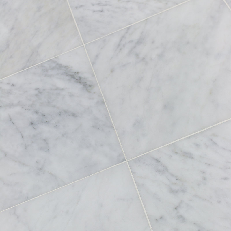 Carrara 12" x 12" Marble Marble Look Wall & Floor Tile