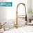 Landolt Kitchen Faucet