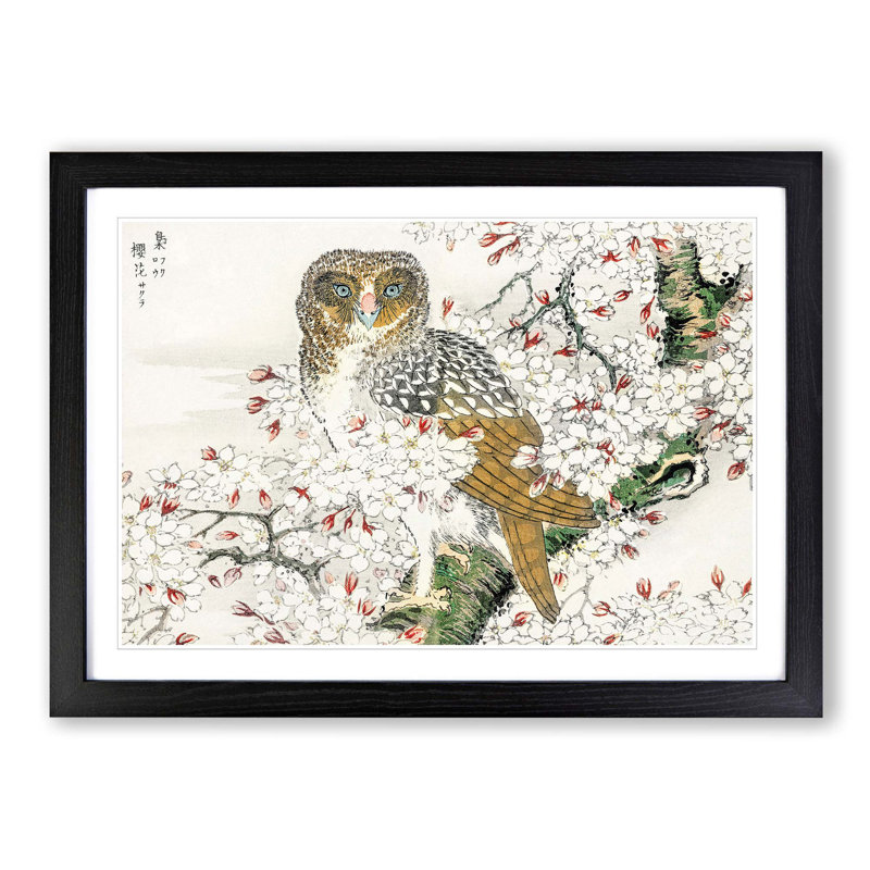 Short-Eared Owl & Cherry Flower by Numata Kashu - Picture Frame Painting Print, 50cm H x 76cm W x 2cm D, Black