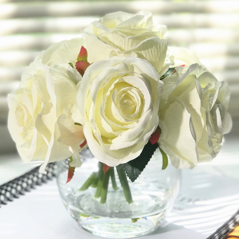 Maison de roses hampton, arbustes et pulvérisateurs, Crème