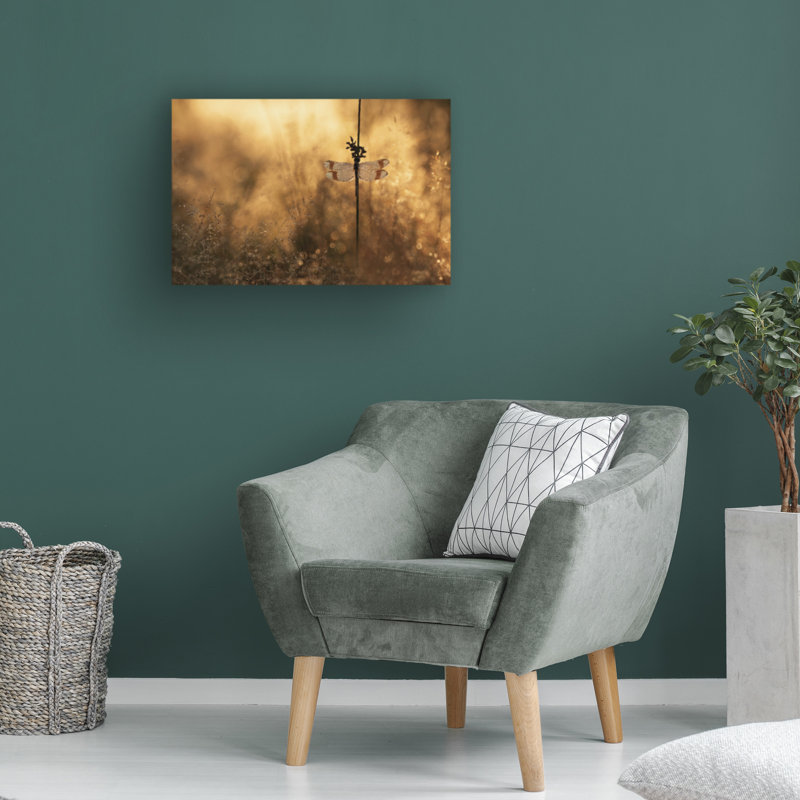 Art sur toile, «ologa Daan De Vos ici le soleil », H 22 po x l 32 po