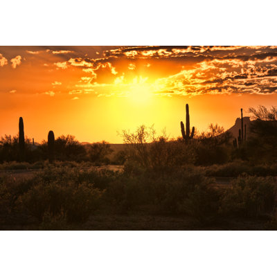 Sunset View Of The Arizona Desert With Cacti, USA by Jenifoto - Wrapped Canvas Print