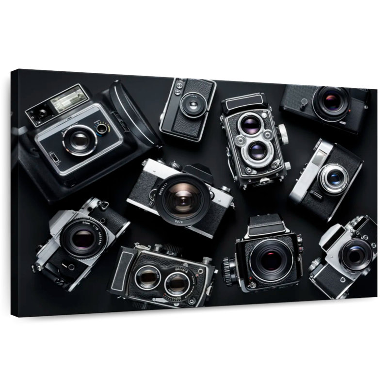 Senne Vintage Analog Cameras, 34" H x 51" W