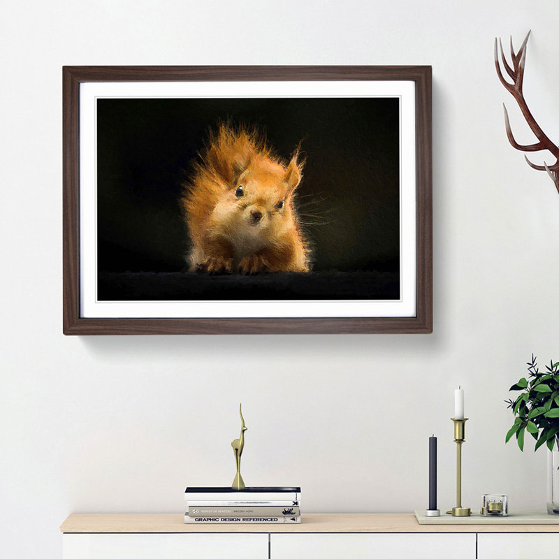 Red Squirrel - Framed Print, 36cm H x 48cm W x 2cm D, Walnut Framed