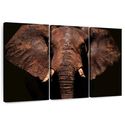 Éléphant vieilli