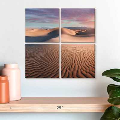 Alvord Mesquite Flat Dunes