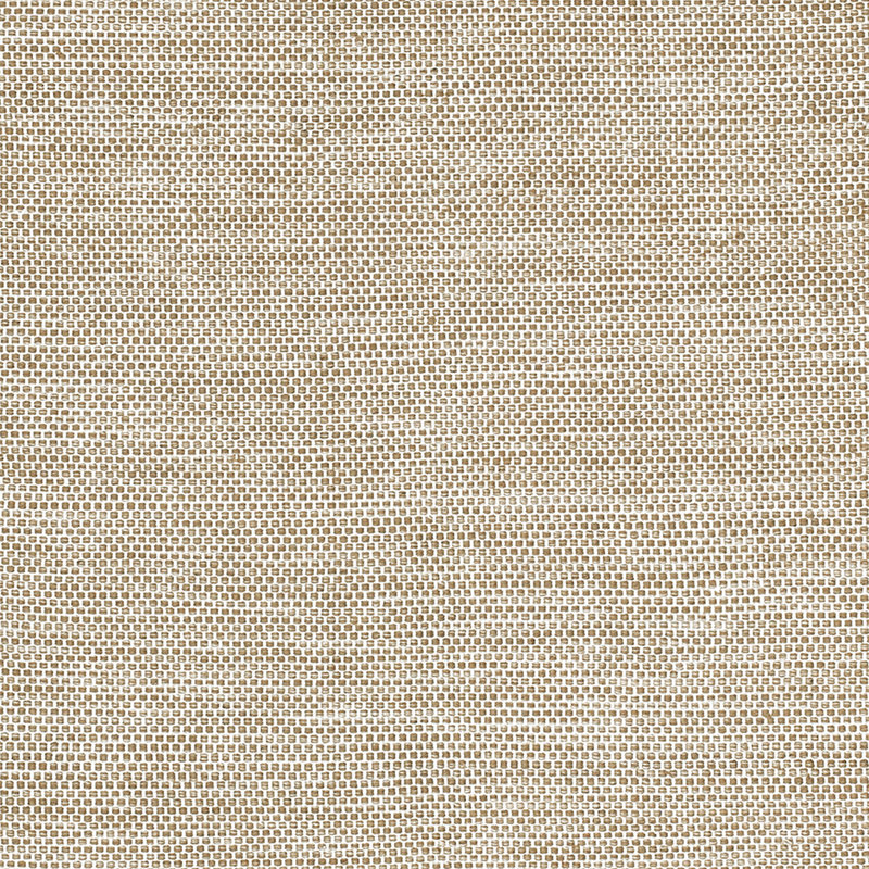 Randen Machine Washable Area Rug Living Room Bedroom Bathroom Kitchen Pet Friendly Stain Resistant, Rectangle 8' x 10'