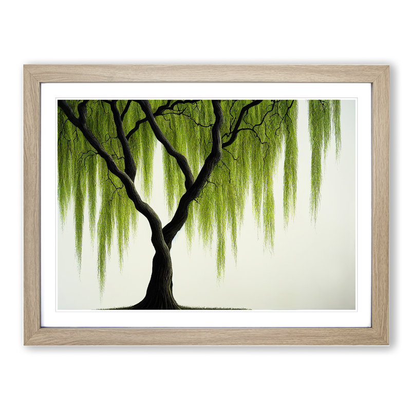 Irresistible Weeping Willow Tree - Single Picture Frame Print, 46cm H x 64cm W x 2cm D, Oak