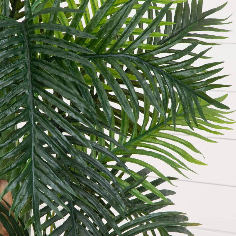Areca Palm Tree in Slate Finished Planter