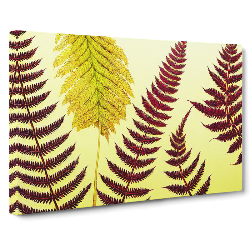 Fern Leaves - Wrapped Canvas, 50cm H x 76cm W x 3cm D