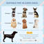Plastic Dog House-100171045-100171046