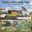 Chicken Fencing-399086180