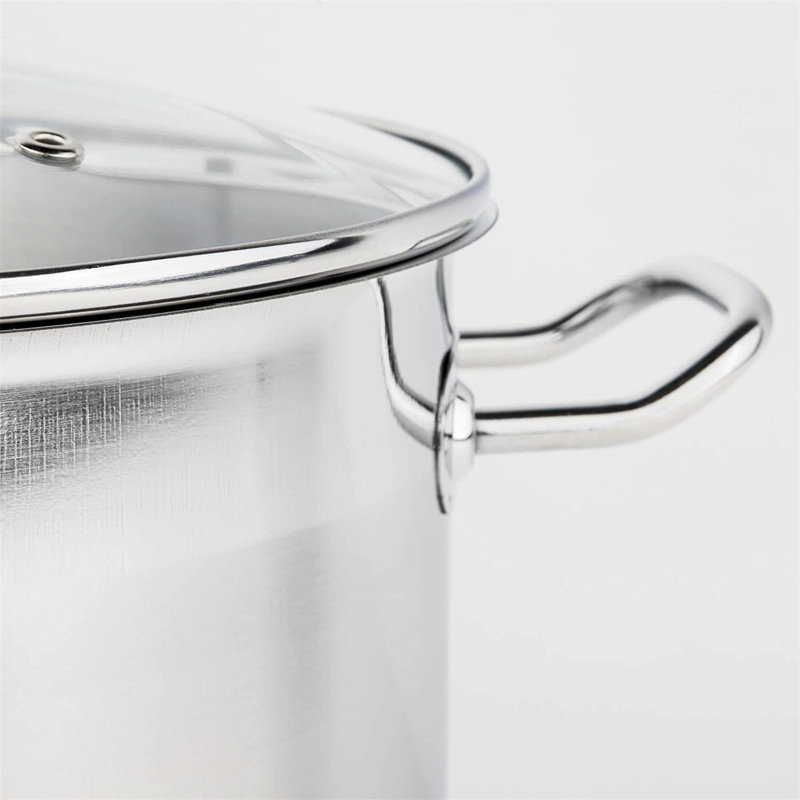 Belfry Kitchen Darian 20L Non-Stick Stainless Steel Stock Pot