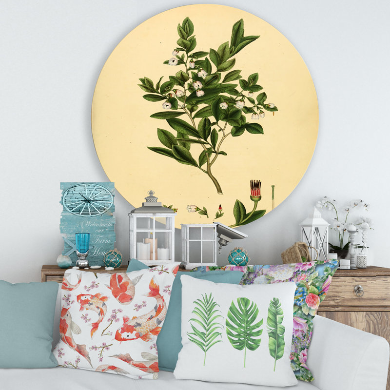 Art mural rétro Vintage Plant Life XXV - Traditional, H 36 po x l 36 po x P 1 po