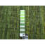 Tapis vert en laine nouée à la main 9 pi x 12 pi 2 po 30 CAE03F1681411BB5D03670F16C8BD4