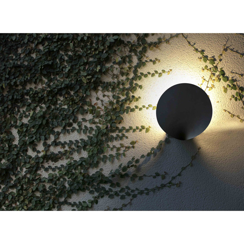 Alvez-Capo Dark Grey 11cm H Integrated LED Frosted Glass Outdoor Armed Sconce